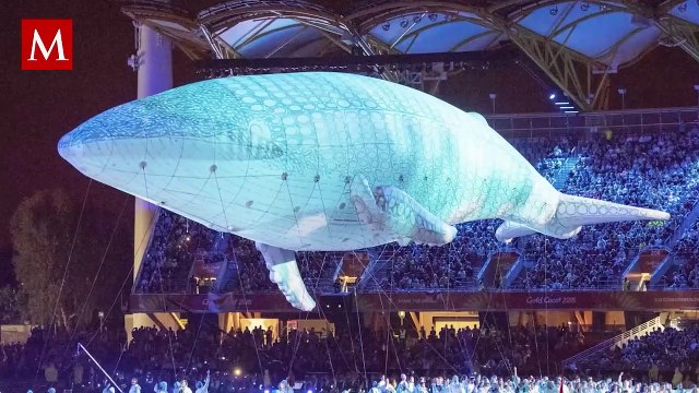 Hallan enorme ballena blanca muerta en las costas de Australia