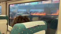 فيديو | قطار إسباني يعبر في قلب غابة مشتعلة وصدمة وسط الركاب