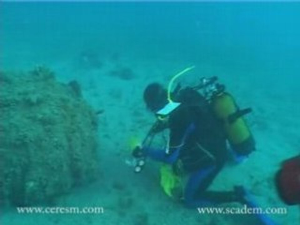 mine counter measure