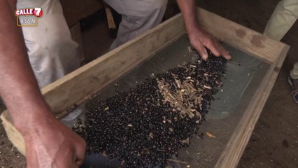 C7-camino-frijol-180722