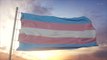 Federal Judge Temporarily Blocks Transgender Protections in 20 States