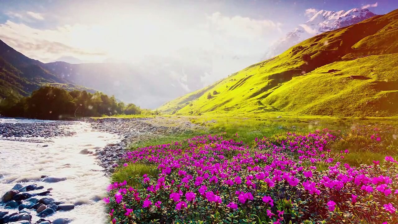 سبحان من أعطاه هذا الصوت  تلاوة لا توصف من عذوبتها _ القارئ عبدالله الخلف