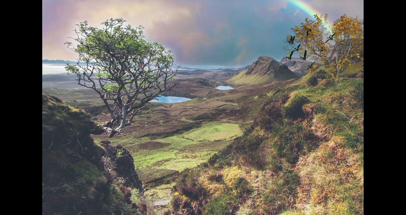 Relaxing Sleep Music  Deep Sleeping Music, Relaxing Music, Stress Relief, Meditation Music 2022