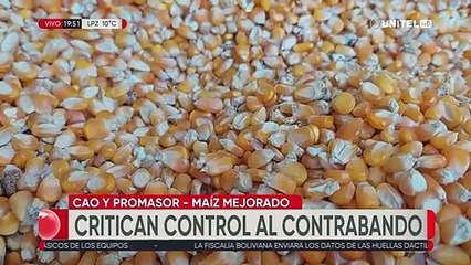 “Estamos invadidos con contrabando”, CAO y Promasur reclaman controles y acceso biotecnología