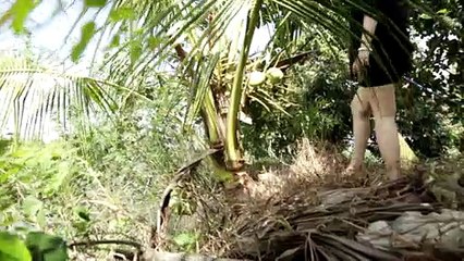 NHÀ ĐẤT CHÍNH CHỦ | CŨNG HÁI DỪA MÀ LẠ LẮM