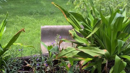 132 पार्क पर 52 लाख का खर्चा, स्वयं की नर्सरी पर कब करोगे चर्चा