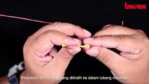 Ikatan Paloma Knot _ Umpan T&T