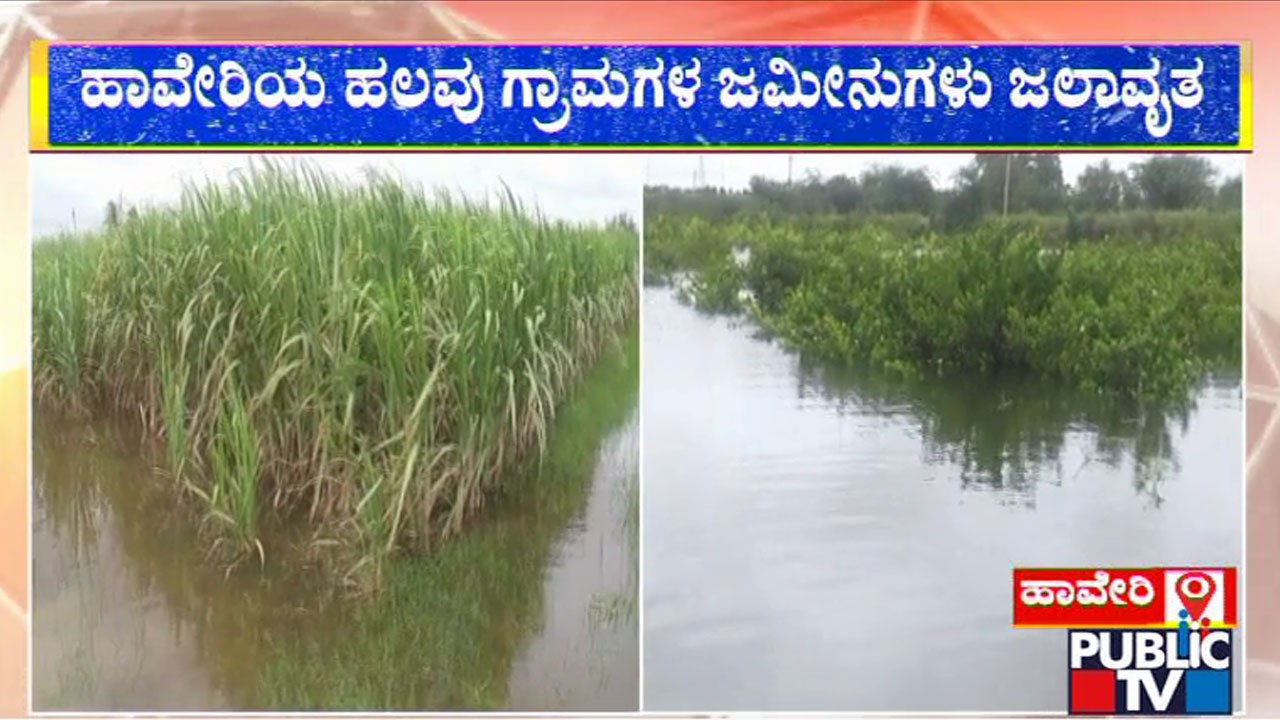 Varada and Tungabhadra River Inundates Hundreds Of Acres Farm Fields In Haveri | Public TV