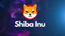 SHIBA INU COIN NEWS TODAY - SHIBA PRICE PREDICTION |  SHIBA INU CRYPTO | SHIBA TOKEN