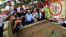 Ekrem İmamoğlu'nun Trabzon'daki aile mezarlığının duvarlarına gamalı haç çizildi