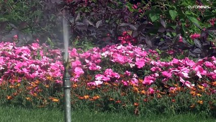 La ola de calor no cesa y los ciudadanos aprenden a convivir con ella