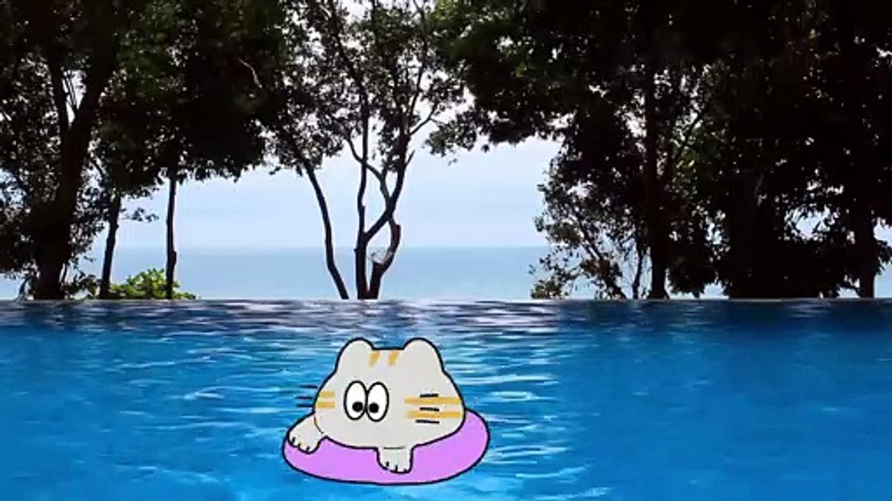 にゃんこプール遊び