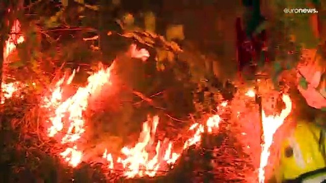 Разрушительные пожары в Европе