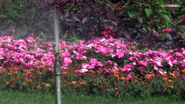 Жара в Европе бьёт рекорды