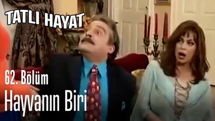 Hayvanın biri - Tatlı Hayat 62. Bölüm