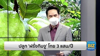 ปลูก ‘ฝรั่งกิมจู’ โกยเงิน 3 แสนบาท/ปี!!