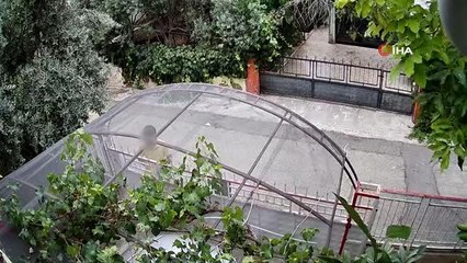 Rahatlığıyla pes dedirten o hırsız tutuklandı