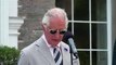 Prince Charles says 'commitments to net zero have never been more vitally important'