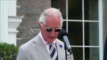Prince Charles says 'commitments to net zero have never been more vitally important'