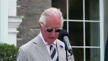 Prince Charles says 'commitments to net zero have never been more vitally important'