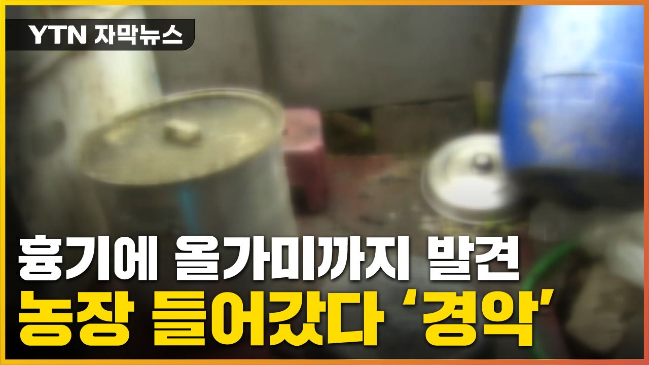 [자막뉴스] 줄줄이 나오는 개들...농장에서 대체 무슨 일이 / YTN