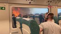 Son dakika haberleri | İspanya ve Fransa'daki orman yangınları