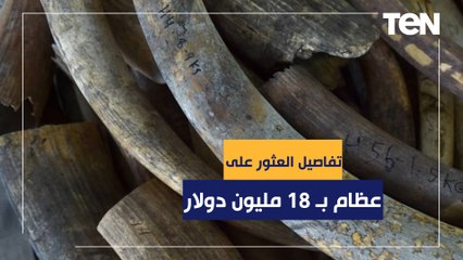 أنياب وعظام وجماجم بـ18 مليون دولار .. كنز على متن سفينة قادمة من أفريقيا