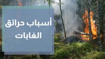 حرائق الغابات أسبابها وأضرارها وطرق تفاديها