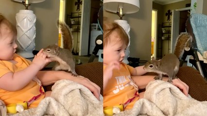 'Adorable baby girl finds it hard to grab her pet squirrel'