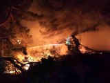 Son dakika gündem: İspanya'daki orman yangınında alevlerden koşarak kurtulduTren alevlerin ortasında kaldı