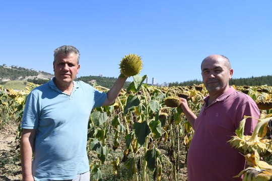 Çiftçi, vekile Ne çektiğimi bir Allah bir ben biliyorum diye dert yandı