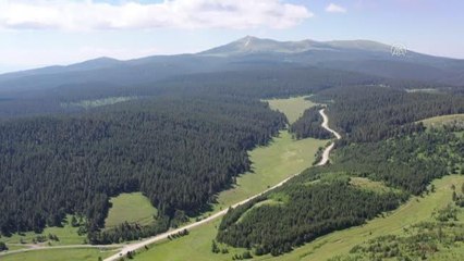 "Alev Avcıları" sarıçam ormanlarında 7/24 nöbette