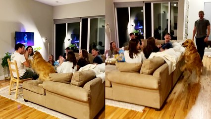 'Dog receives a warm welcome from her human friends '