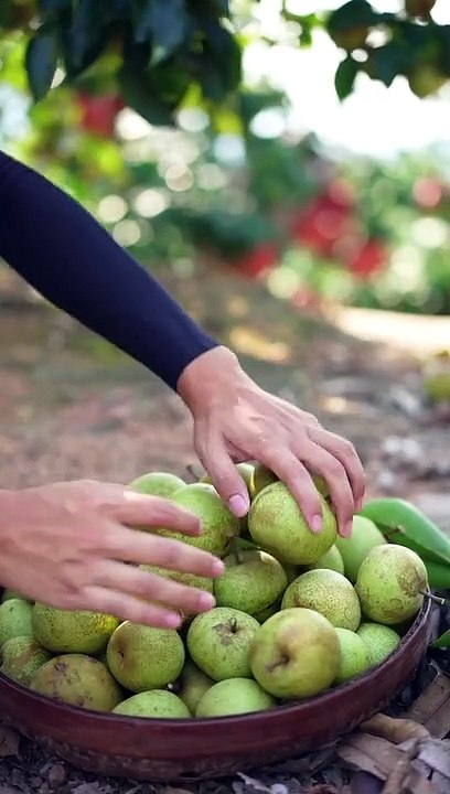 Starting the first meal of summer vacation In summer, the throat is dry, and it is quite good to make a drink with freshly picked pears