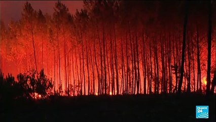 France girds for heat records as wildfires rage on