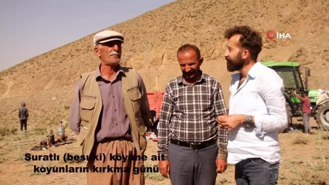 Yüksekova'da koyun kırkma şenliği renkli görüntülere sahne oldu