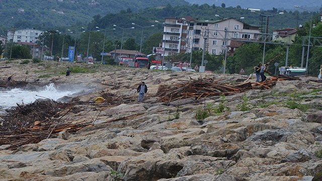 Sel sonrası kıyıya vuran odunlar, vatandaşlar tarafından toplanıyor