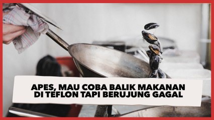 Apes, Mau Coba Balik Makanan di Teflon tapi Berujung Gagal