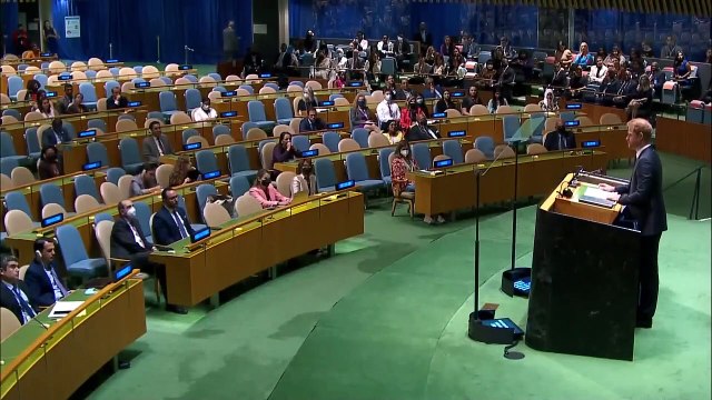 Prince Harry warns UN on climate change: 'Our world is on fire'