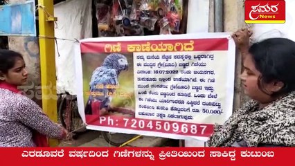 parrot| parrot missing| bird missing| tumkur bird| samara news