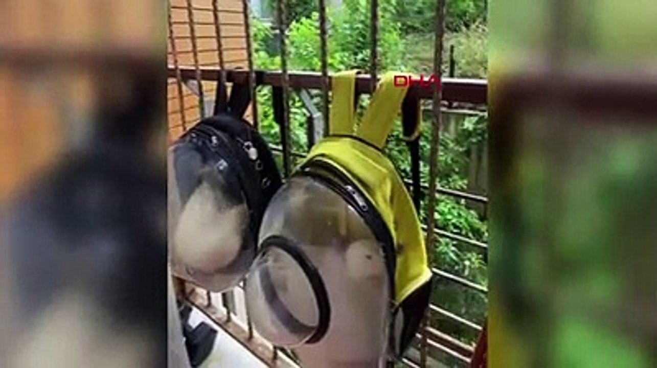 Başakşehir'de göletteki ördekleri çaldığı iddia edilen kadın konuştu