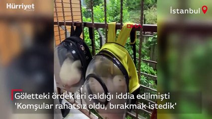 Bahçeşehir'de göletteki ördekleri çaldığı iddia edilmişti! 'Komşular rahatsız oldu, bırakmak istedik'