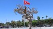 Mersin'deki asırlık ağacı zehirleyen 3 kişi yakalandı