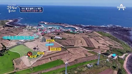 뿔소라로 뒤덮인 짬뽕 한 그릇! 오직 가파도에서만 맛볼 수 있는 ★뿔소라 짬뽕★