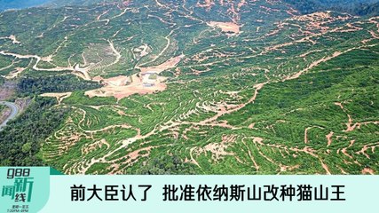 【新闻线】前大臣认了 批准依纳斯山改种猫山王