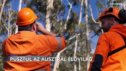 Nagyon rossz állapotban van Ausztráliában a természeti környezet