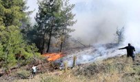 Manisa'daki orman yangını büyüyor, bölgeye ekipler sevk ediliyor