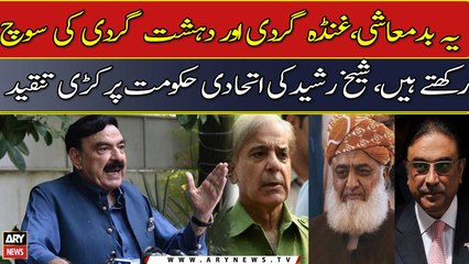 "They only think of hooliganism and terrorism", Sheikh Rasheed slams coalition government