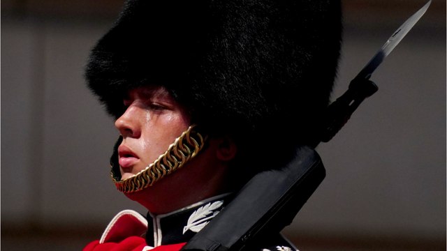 The public in uproar as the Queen’s guards forced to wear full uniforms during heatwave