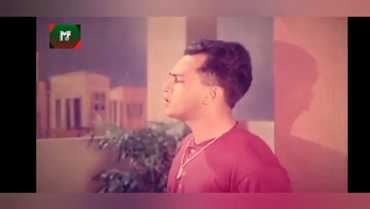 সালমান শাহ এর সেরা ৫টি ব্লকবাষ্টার মুভি _ 5 Best Movies of Salman Shah